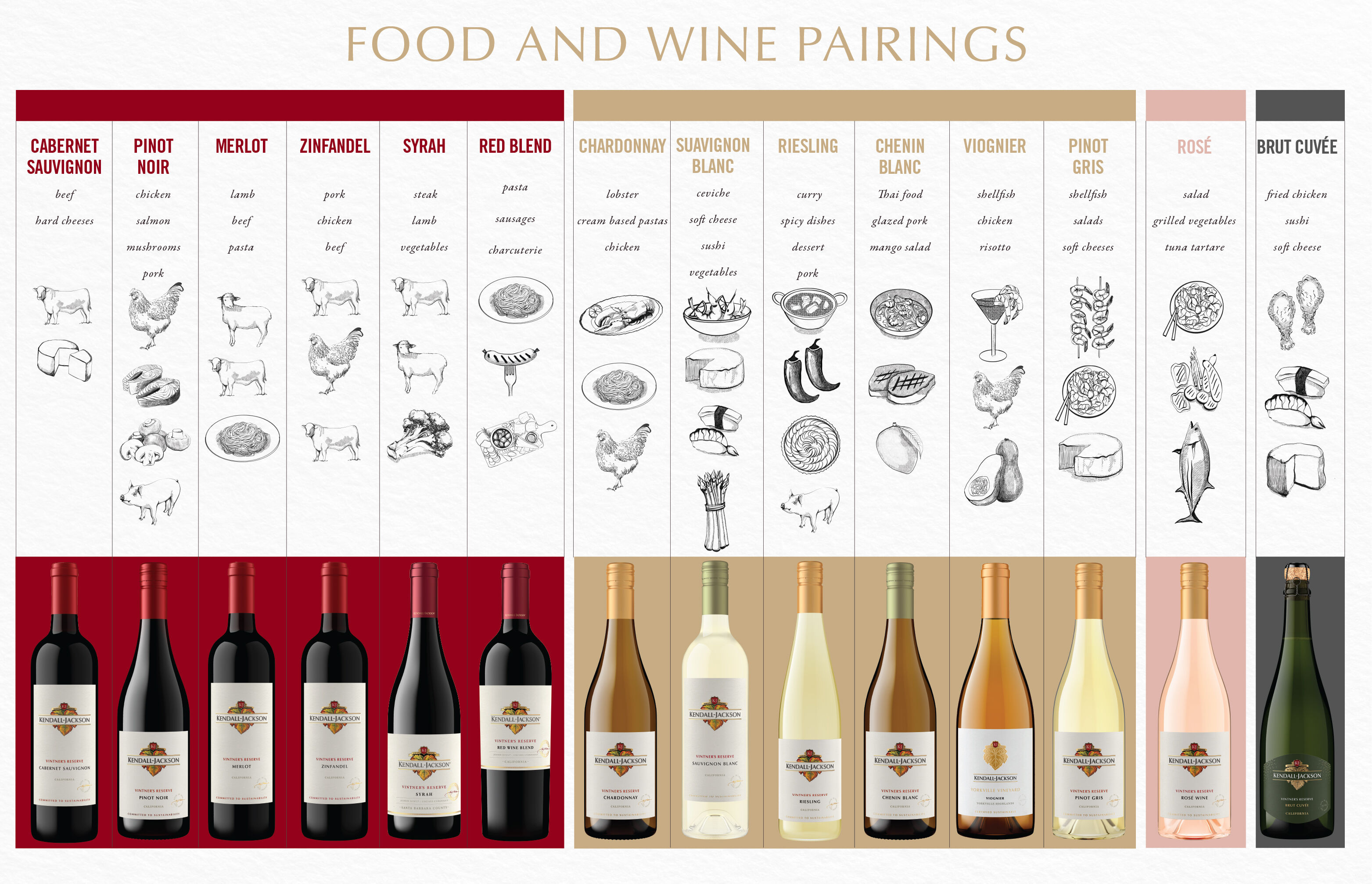 Wine and Food Pairing Guide